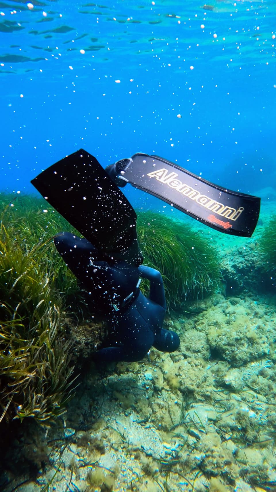 H2O Diving Bolzano photo 53
