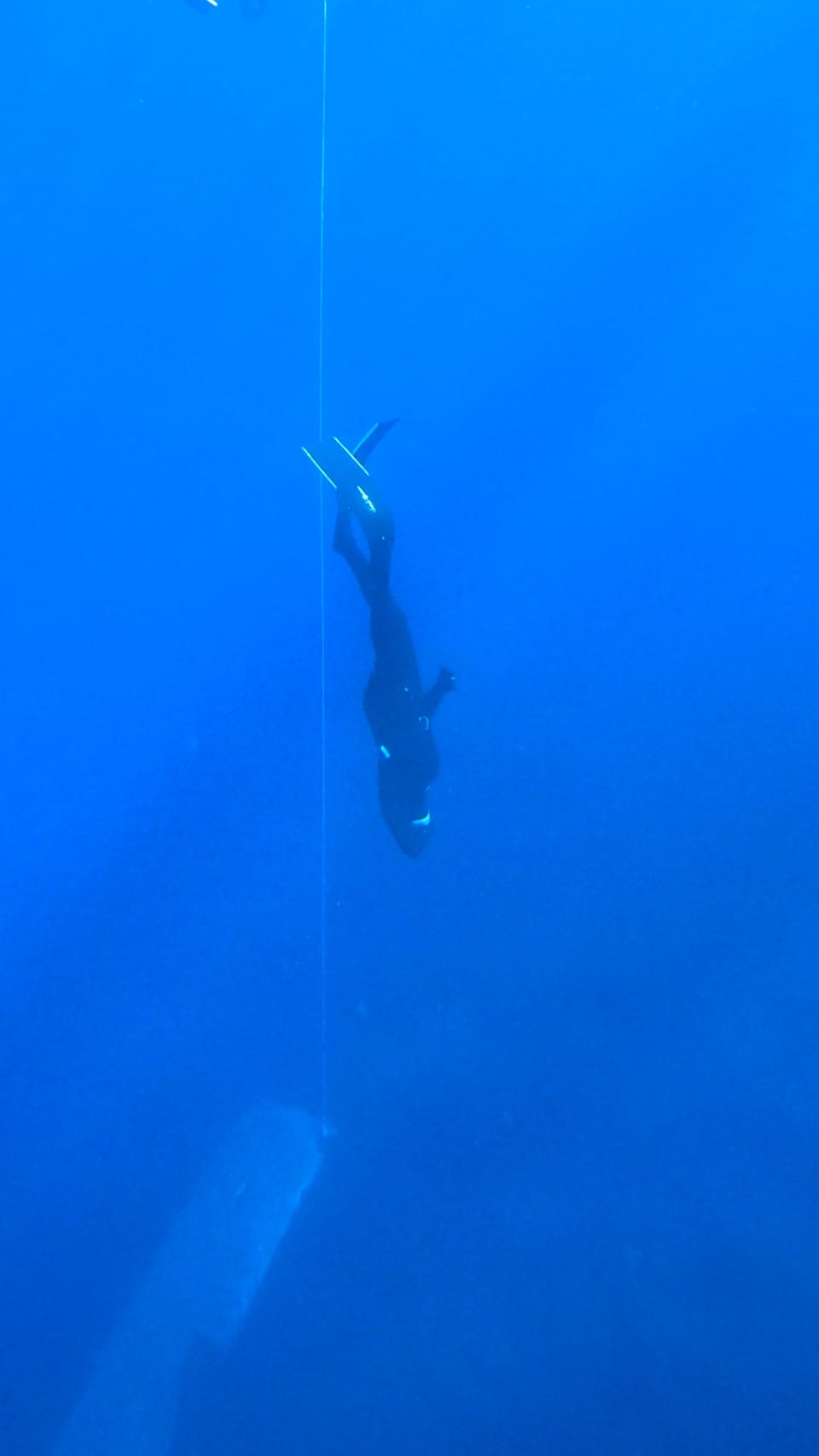 H2O Diving Bolzano photo 62