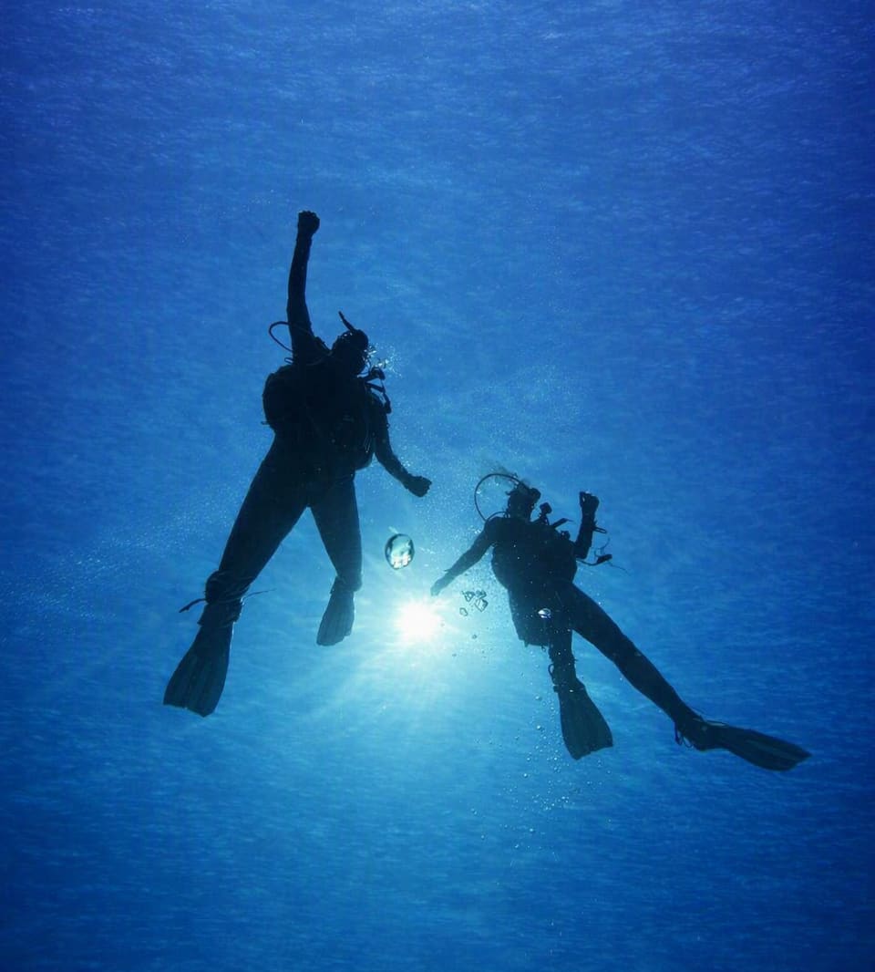Divers silhouetted against the light, seen from below